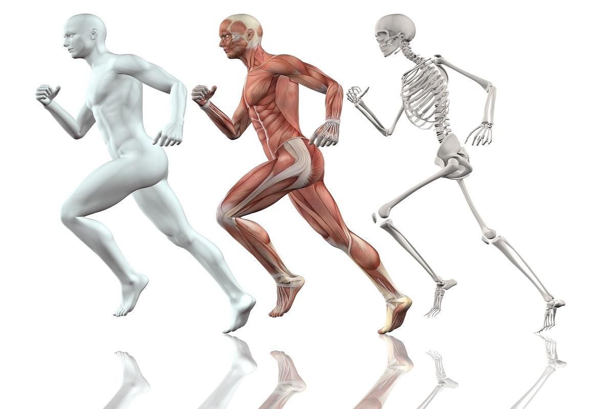 Human body running