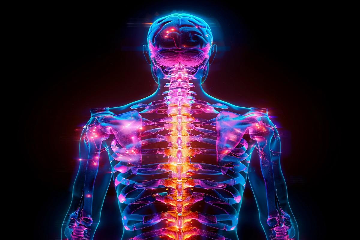 Images that simulate x rays with neon colors 1